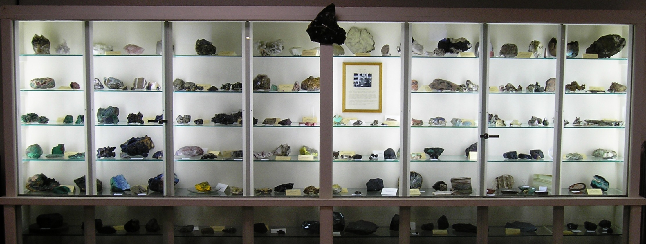 mineral club case